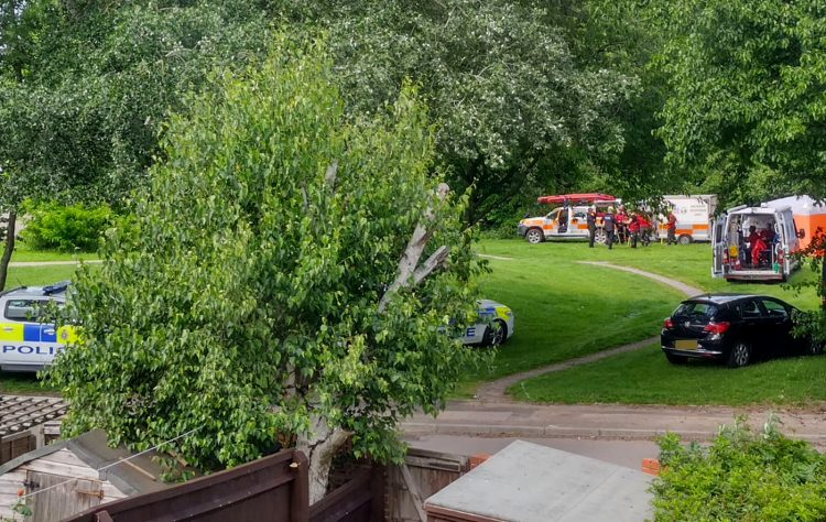 Children find REAL firearm in Swindon park – sparking fears there could be more
