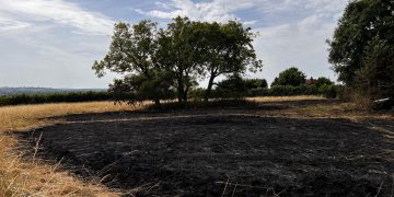 Three fire crews battle massive field blaze near Tadpole Garden Village