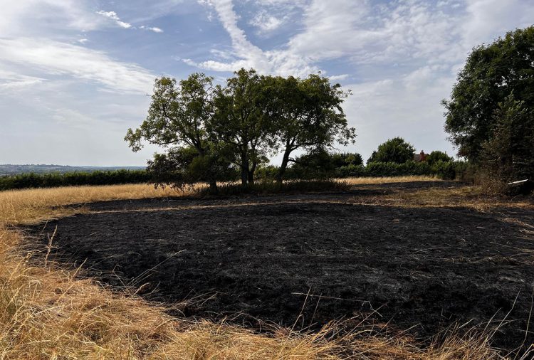 Three fire crews battle massive field blaze near Tadpole Garden Village