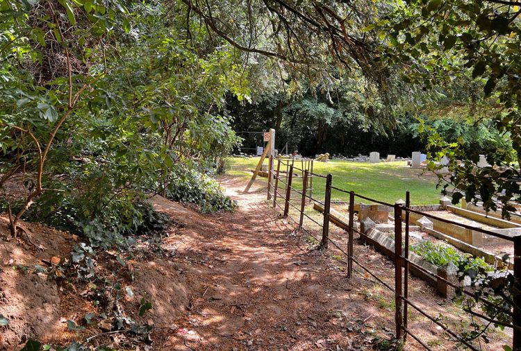 Police launch probe after potential human bones found in Chippenham woods