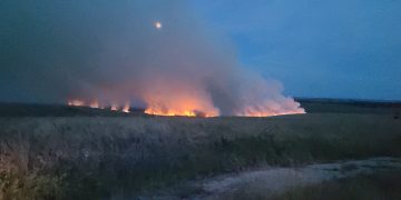 Wildfire rages on as firefighters barred from tackling Salisbury Plain blaze