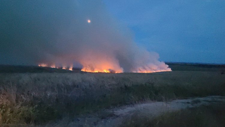 Wildfire rages on as firefighters barred from tackling Salisbury Plain blaze