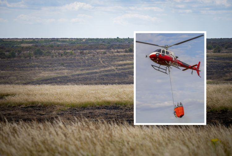 2,000 acres of Salisbury Plain destroyed by wildfires – but the flames are now out