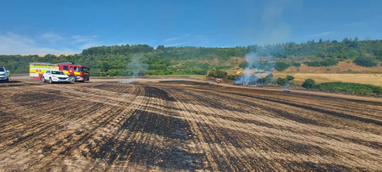 Firefighters battle major field blaze three hectares of crop fields in Wiltshire
