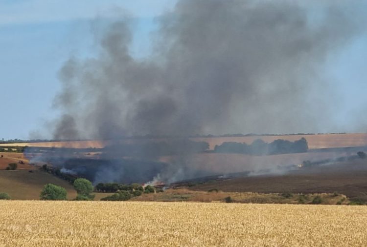 A303 closed in both directions as another field blaze rages with huge smoke plume