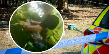 Moment police officer accidentally discharges Taser tackling Swindon stabbing suspect