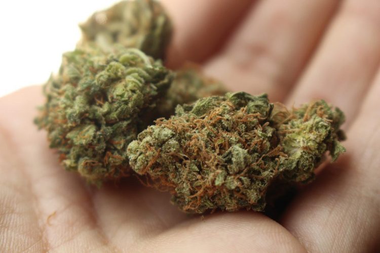 Swindon men arrested on suspicion of drug supply as police find thousands of pounds