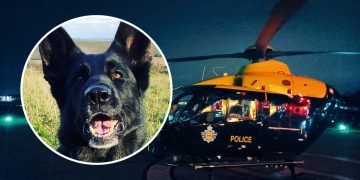 Police dog and helicopter team up to locate man who fled late-night M4 crash