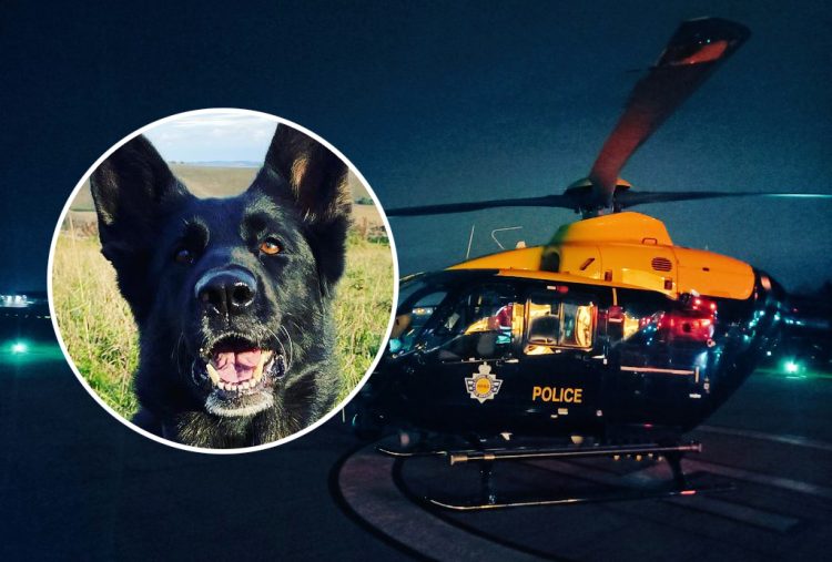 Police dog and helicopter team up to locate man who fled late-night M4 crash