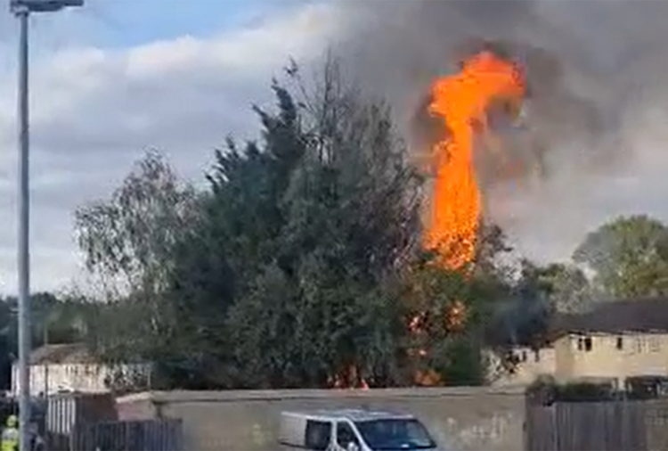 Firefighters called to Swindon housing estate as garden goes up in flames