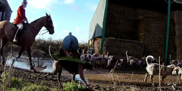 Three charged with fox hunting after covert cameras installed near Swindon