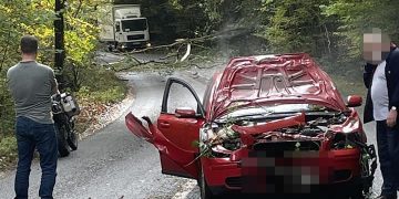 Driver has ‘near-death experience’ as tree falls on car near Cirencester