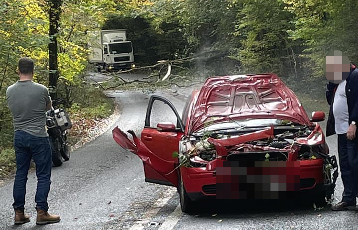 Driver has ‘near-death experience’ as tree falls on car near Cirencester