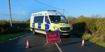Driver critically wounded after car ploughs into telegraph pole and wall