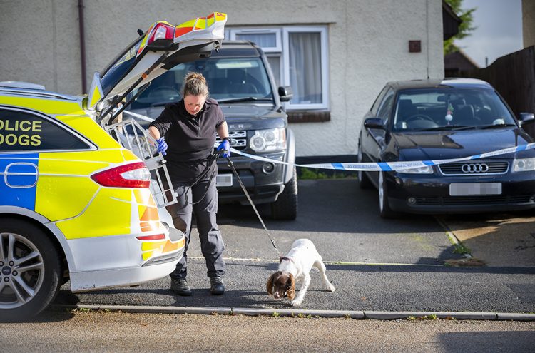 Man charged with murder over death of newborn baby in Wiltshire