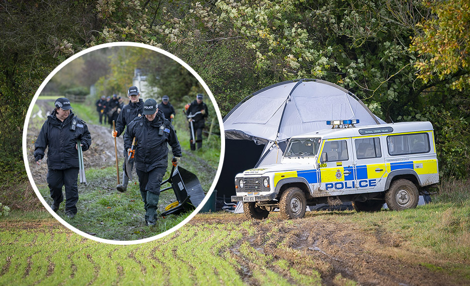 PICTURES: Rigorous search of wood carried out after police dog 'showed interest' 