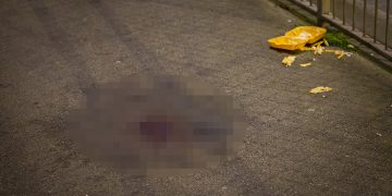 Cheesy chips strewn next to pool of blood after serious assault in Swindon