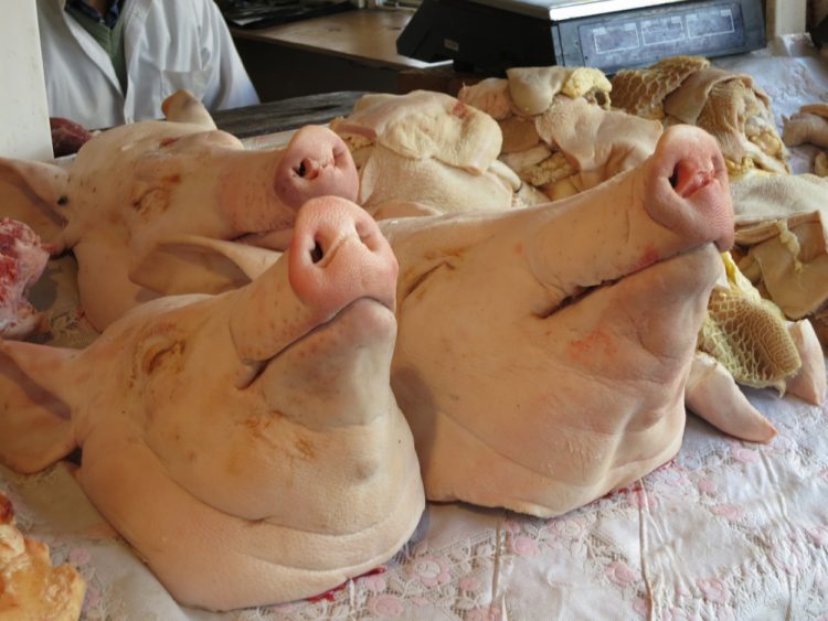 Severed pig’s head discovered in alleyway sparks ‘hate crime’ investigation