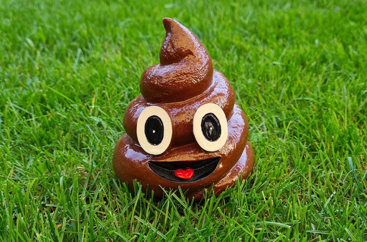 Wiltshire football match cancelled as opponents refuse to use poo-covered pitch