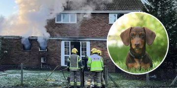 Hero sausage dog saves five children from serious house fire in Swindon