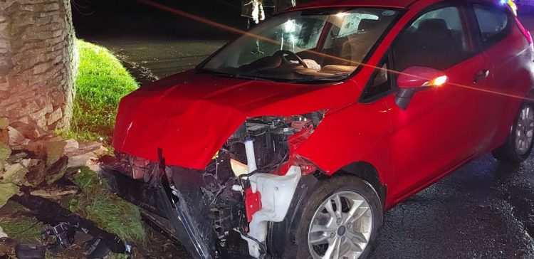 ‘Extremely drunk’ driver in custody after fleeing Christmas Day crash