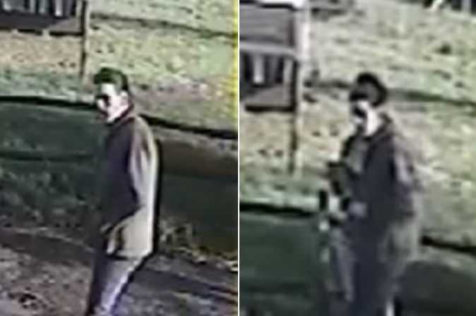 Chicken dies after being ‘shot at’ by pair armed with catapults in Laverstock