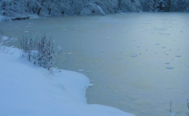 Children ‘standing on frozen pond’ spark Wiltshire Police response