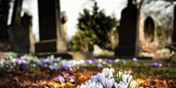 Chippenham council forced to keep cemetery closed due to ‘dangerous black ice’