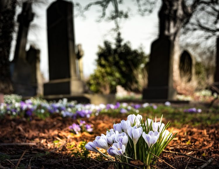 Chippenham council forced to keep cemetery closed due to ‘dangerous black ice’