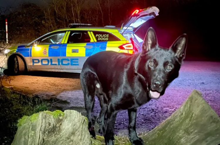 Swindon teens arrested after ‘threatening to kill police officers with machete’
