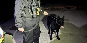 Police dog locates high-risk missing person at Swindon country park