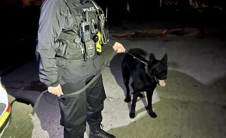 Police dog locates high-risk missing person at Swindon country park