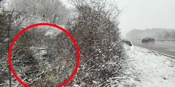 Car crashes into deep undergrowth alongside snowy M4 in Wiltshire