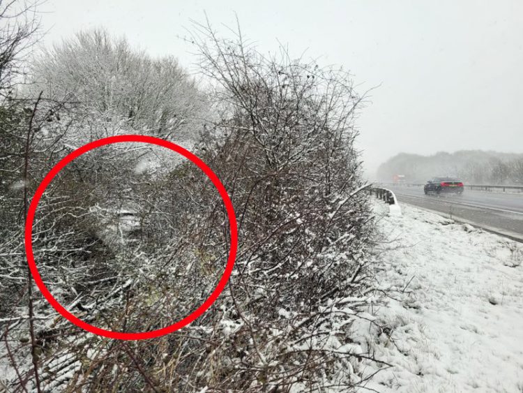 Car crashes into deep undergrowth alongside snowy M4 in Wiltshire