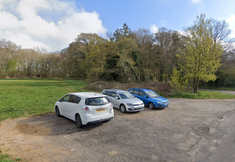 Police investigate report of man exposing himself at Wiltshire ‘dogging site’