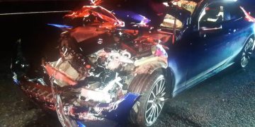 Police dog searches after car wrecked in M4 crash near Swindon