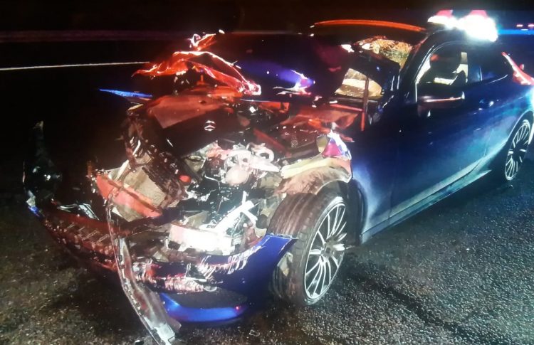 Police dog searches after car wrecked in M4 crash near Swindon