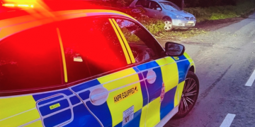 Police dog finds ‘drug driver’ who ran from crash following pursuit