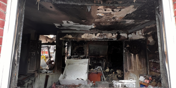 Eight cats and many other pets rescued from house fire in Swindon