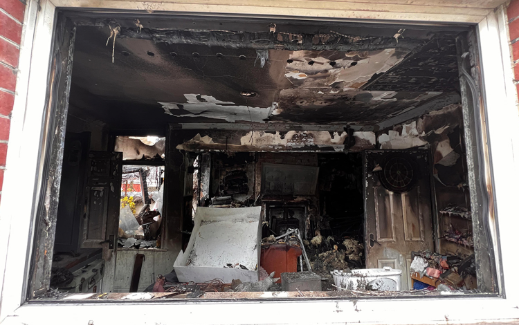 Eight cats and many other pets rescued from house fire in Swindon