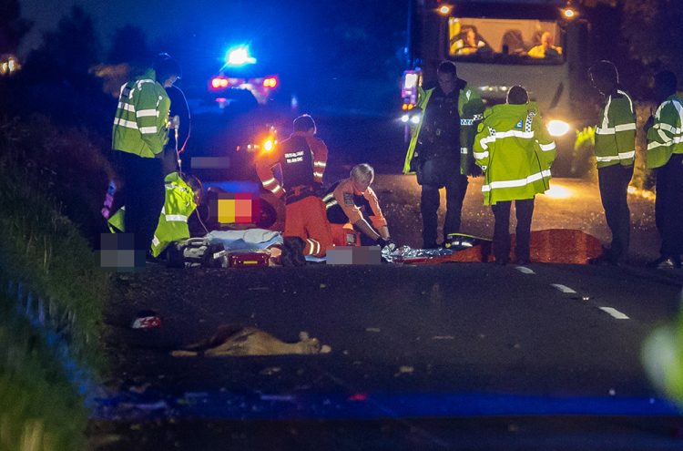 Motorbike ‘slices deer in half’ on Wiltshire route as rider injured