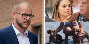 Wiltshire man guilty of animal cruelty after dog suffers critical injuries
