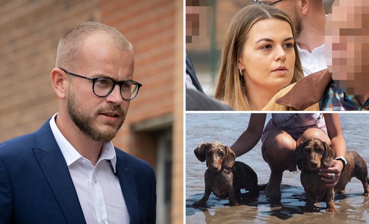 Wiltshire man guilty of animal cruelty after dog suffers critical injuries