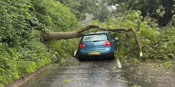 Crash involving fallen tree and car blocks road near Chippenham