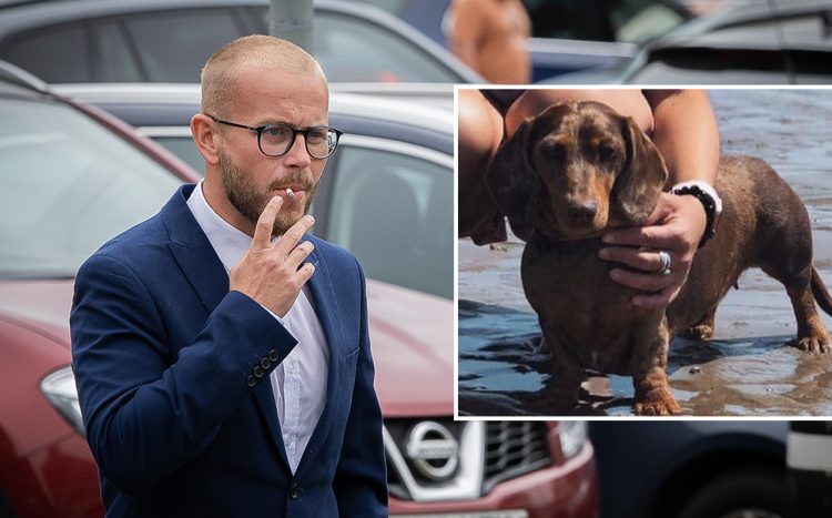 Wiltshire man who ‘lacked care’ for seriously injured dog avoids animal ban