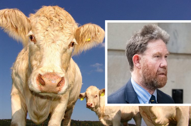 Aristocrat’s cattle on Wiltshire estate violently attacked walkers