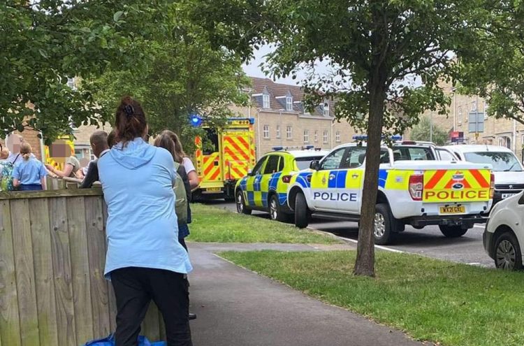 Large emergency response in Westbury after person found injured