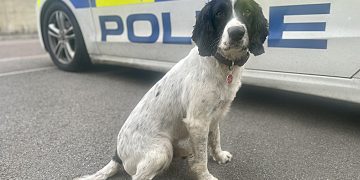Police officer assaulted in Highworth as dog called in for drug search