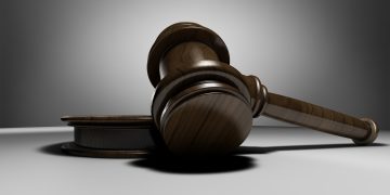 Do All Lawyers Go to Court? Exploring Legal Roles