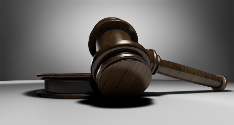 Do All Lawyers Go to Court? Exploring Legal Roles